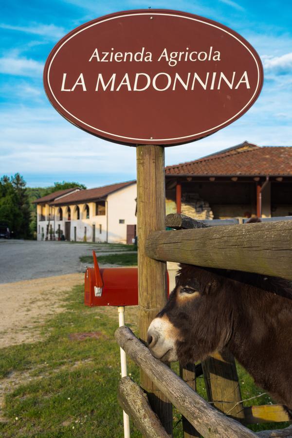 La Madonnina Agriturismo Dore Альба Экстерьер фото